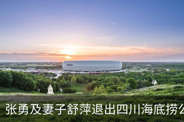 张勇及妻子舒萍退出四川海底捞公司董事会，控制权未变